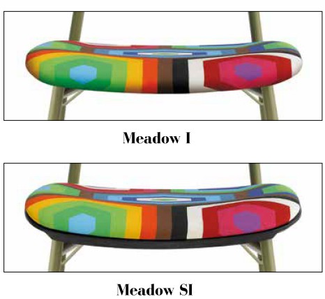 MEADOW_DETAIL_ASSISE